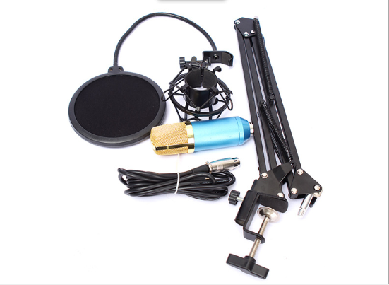 BM800 microphone set